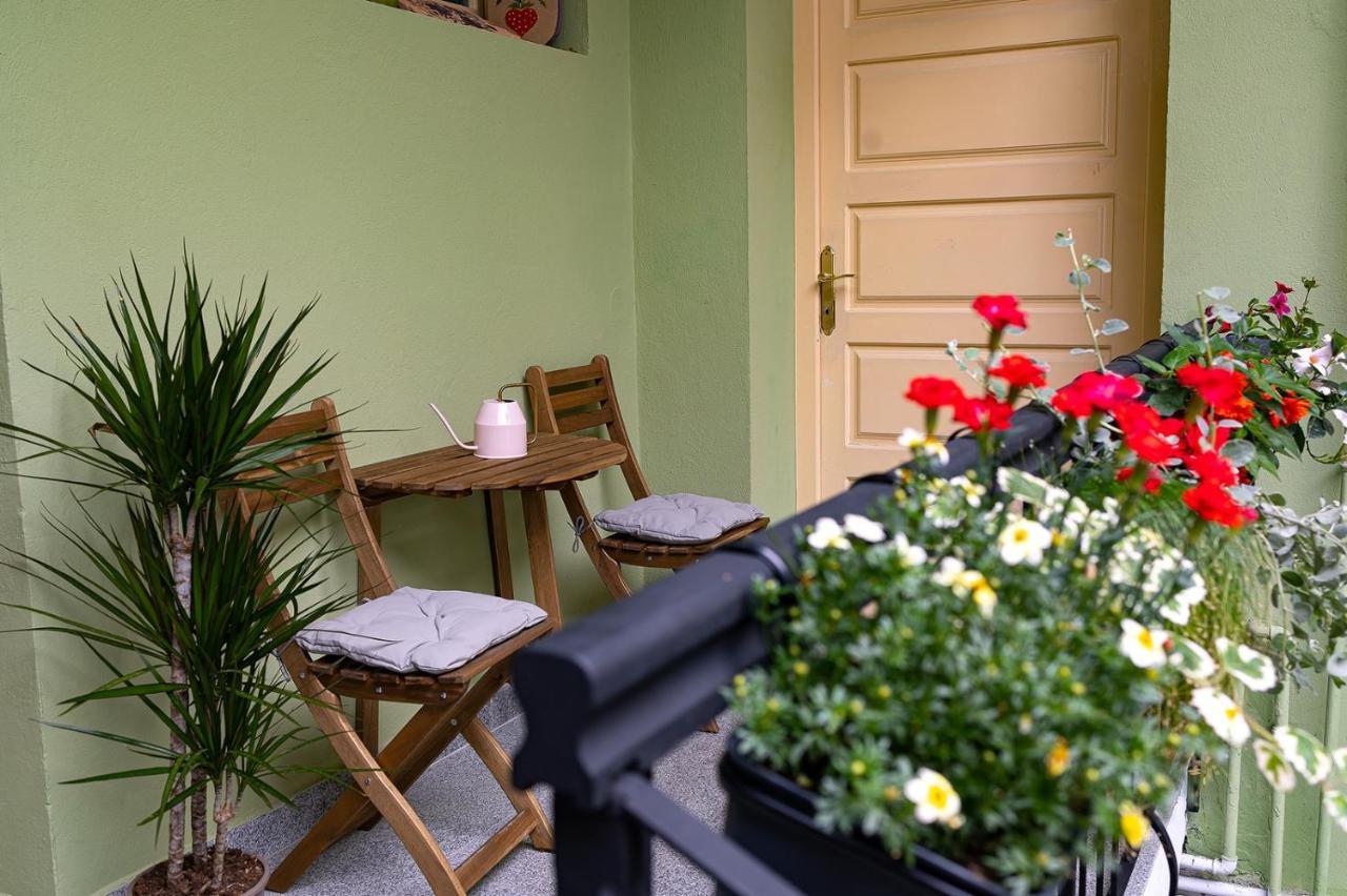 Casa Zielinski סיגישוארה מראה חיצוני תמונה