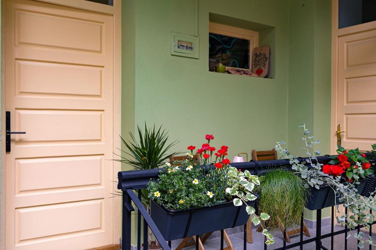 Casa Zielinski סיגישוארה מראה חיצוני תמונה